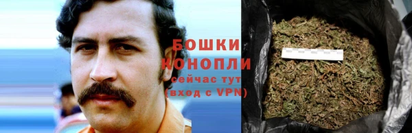 мяу мяу мука Сафоново