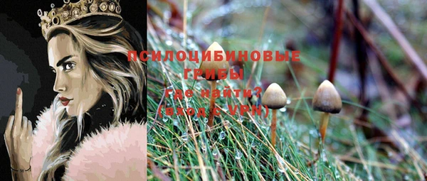 амф Саяногорск