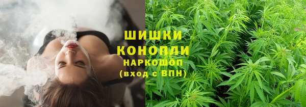 мяу мяу мука Сафоново
