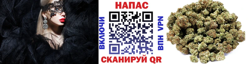 Бошки Шишки White Widow  блэк спрут маркетплейс  Усть-Катав 